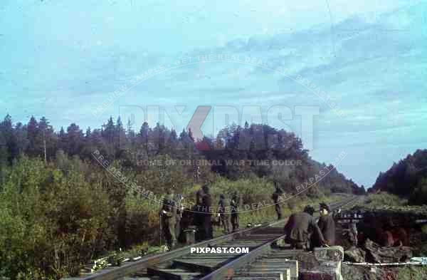 at the railway line between Bryansk (Russia) and Konotop (Ukraine) 1944 Sicherungsbataillon 738