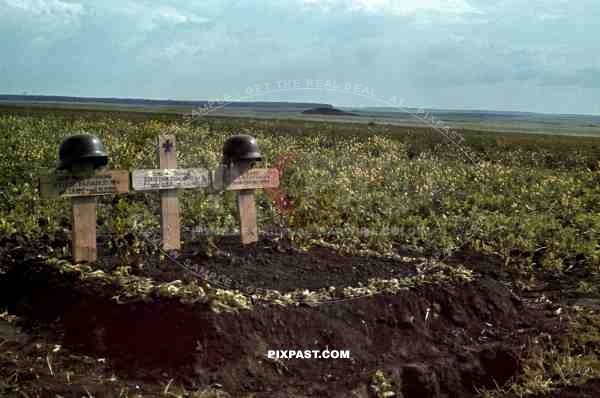 Battlefield Graves, Kalinowka, Ukraine 1941, Heinrich BATTENFELD, gefallen am 11.07.1941.