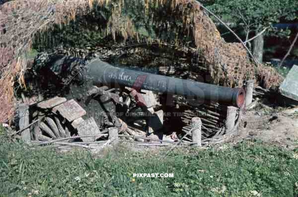 Captured French WW1 155mm de Bange Howitzer with Bonagente shoes. Camouflage Bunker France 1940