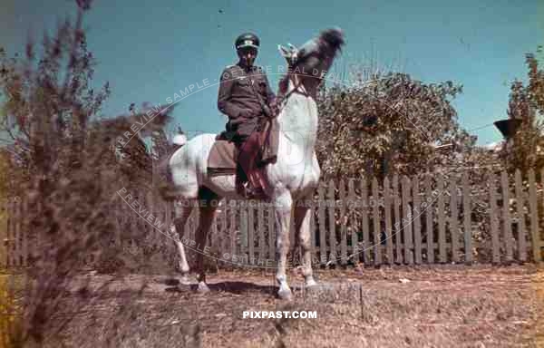 German Color Slide Photo Wolfgang Wehrmacht Cavalry officer on horse uniform Ukraine 1942