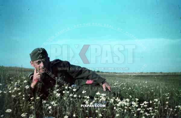 German soldier in flower field in Smolensk Russia 1942 summer. hitler moustache with glasses and hat.