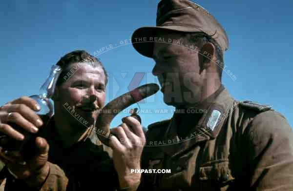 German War Photographer Fritz Moosmueller eats german sausage in Tunisia 1942.  90th Light Infantry Division.