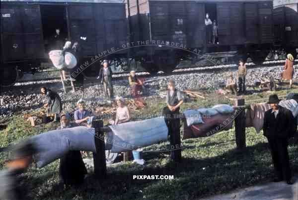 Gypsies freed from a German transport train, collect bed material from American GIs. Bischofshofen  Austria 1945