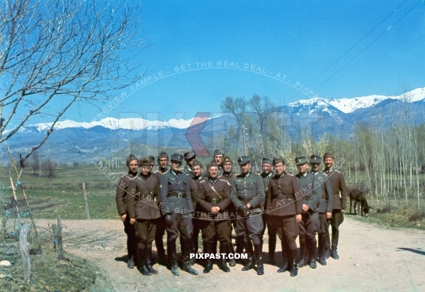 Invasion of Greece 1941. 304 Schutzen Regiment. 2nd Panzer Division.  Gebirgsjager officers with Bulgarian officers