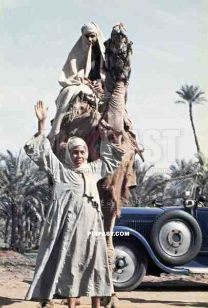 Man on a camel in Alexandria, Egypt 1939