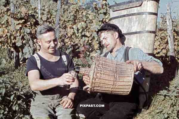 men drinking some wine on vineyard in Baden-Wuerttemberg, Germany ~1938