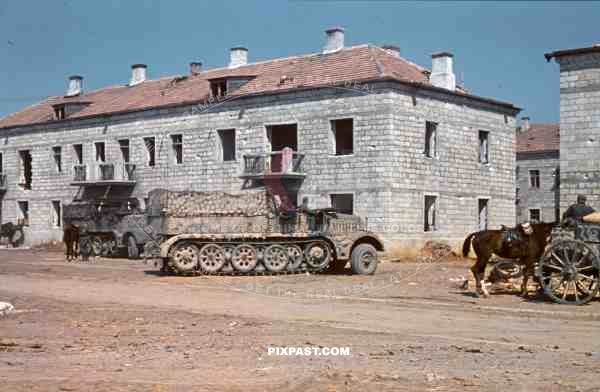 Sdkfz9 FAMO 18 ton halftrack, Krim, Crimea, Kretsch, 1942, 22nd Panzer Division, 204th Panzer Regiment, camo,