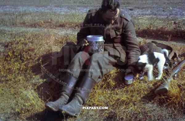 Wehrmacht soldier feeding a stray dog, Russia 1944