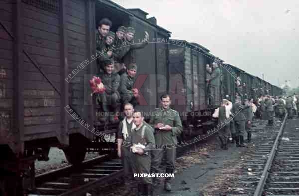 wehrmacht soldier train transport station russia flowers 1941 reichsbahn