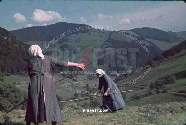 Women cutting grass in Germany 1939