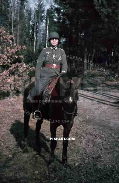WW2 color 1940 Belgium wehrmacht officer awards medals horse cavalry forest portrait 207 Infantry Division Major Scheer 