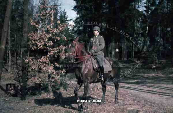 WW2 color 1940 Belgium wehrmacht officer awards medals horse cavalry forest portrait 207 Infantry Division Major Scheer helmet