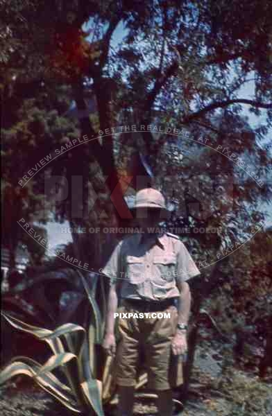 WW2 color Sicily Italy 1943 DAK tropical helmet uniform shorts coast Field Division 2nd Lufllotte