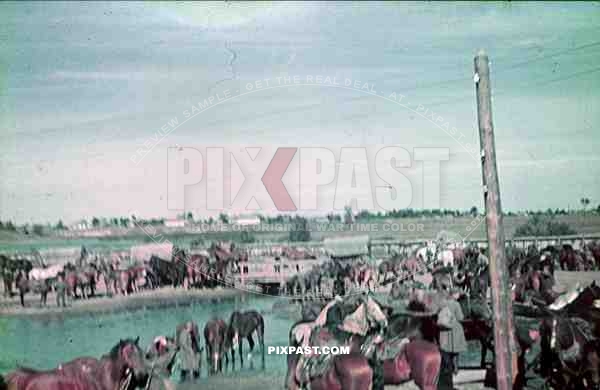 WW2 Color Ukraine 1942 German wehrmacht supply columb cavalry unit river horses wagons