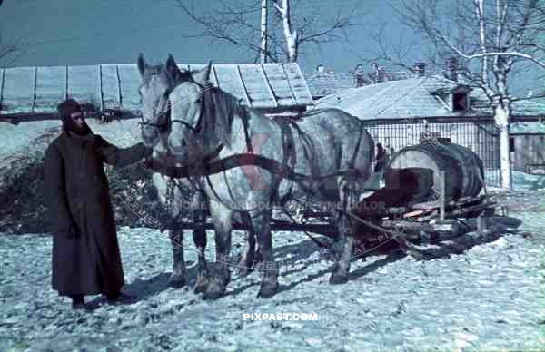 WW2 Colour Ukraine German Wehrmacht soldier with horse and supply sled winter