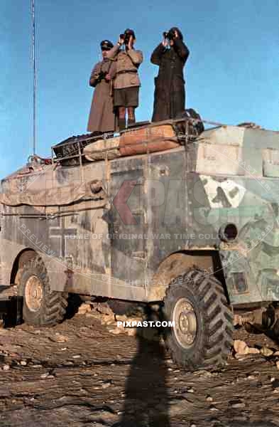 Field Marshal Erwin Rommel watching battlefield 1941 Tunisia in Captured British armoured truck MAX. MAMMUT