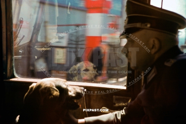German army wehrmacht officer with pet dog in army bus passing french petrol Shell station in france 1940