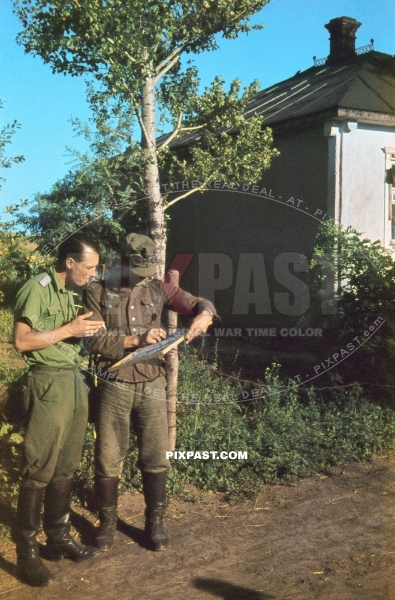 German soldiers inspecting a map and smoking cigarettes. 97. Jager Division July 1942 Rostow Russia